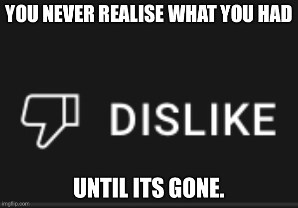 F in the comments | YOU NEVER REALISE WHAT YOU HAD; UNTIL ITS GONE. | image tagged in dislike | made w/ Imgflip meme maker