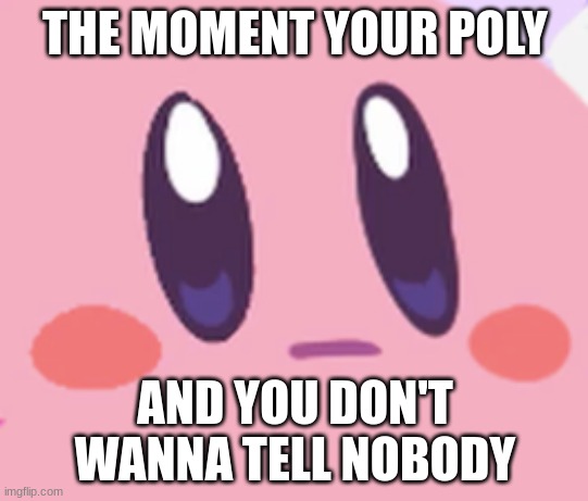 Blank Kirby Face | THE MOMENT YOUR POLY; AND YOU DON'T WANNA TELL NOBODY | image tagged in blank kirby face | made w/ Imgflip meme maker