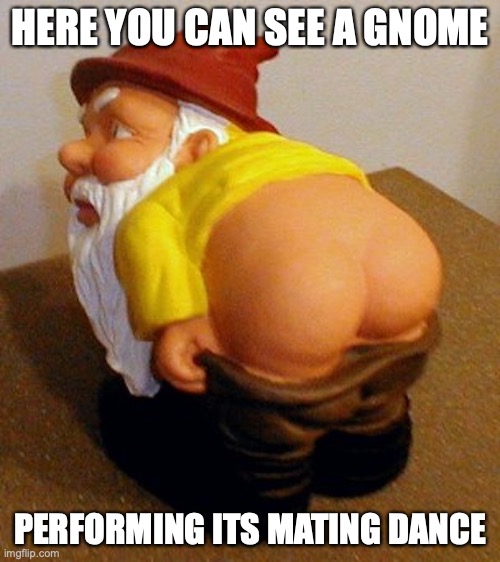 Mooning Gnome | HERE YOU CAN SEE A GNOME; PERFORMING ITS MATING DANCE | image tagged in butt,gnome,memes,funny | made w/ Imgflip meme maker