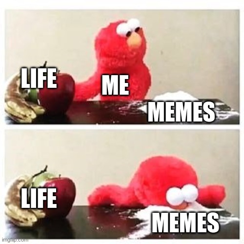 :( | LIFE; ME; MEMES; LIFE; MEMES | image tagged in elmo cocaine,life sucks,memes,sad but true | made w/ Imgflip meme maker
