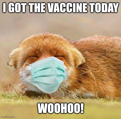 Yeah! Take that, COVID! | I GOT THE VACCINE TODAY; WOOHOO! | image tagged in happy fox | made w/ Imgflip meme maker
