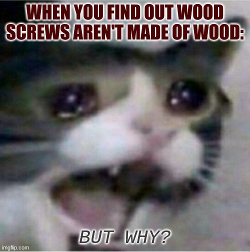 i just found this out | WHEN YOU FIND OUT WOOD SCREWS AREN'T MADE OF WOOD:; BUT WHY? | image tagged in crying cat | made w/ Imgflip meme maker