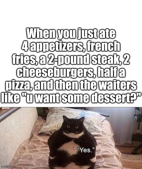 Ngl, I'm a fat kid in another life. | When you just ate 4 appetizers, french fries, a 2-pound steak, 2 cheeseburgers, half a pizza, and then the waiters like "u want some dessert?" | image tagged in blank white template,cats,fat cat | made w/ Imgflip meme maker