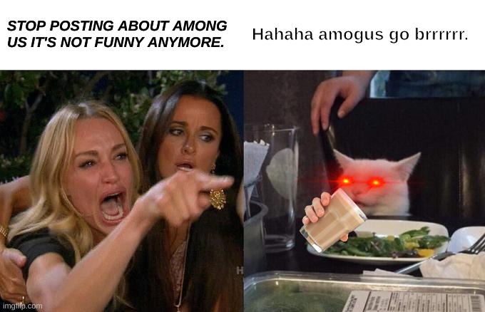 Woman Yelling At Cat |  STOP POSTING ABOUT AMONG US IT'S NOT FUNNY ANYMORE. Hahaha amogus go brrrrrr. | image tagged in memes,woman yelling at cat,amogus,sus,sussy,sussy baka | made w/ Imgflip meme maker