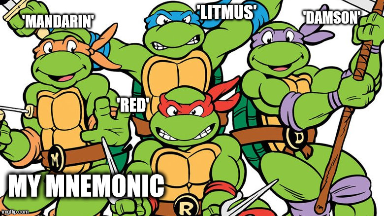 Memory aid for TMNT | 'LITMUS'; 'DAMSON'; 'MANDARIN'; 'RED'; MY MNEMONIC | image tagged in teenage mutant ninja turtles | made w/ Imgflip meme maker