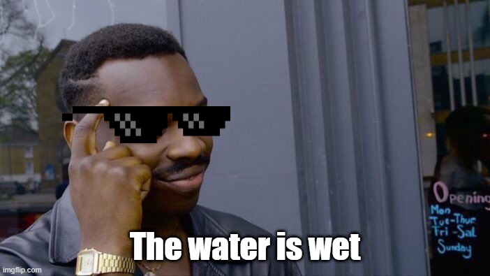 Roll Safe Think About It | The water is wet | image tagged in memes,roll safe think about it | made w/ Imgflip meme maker
