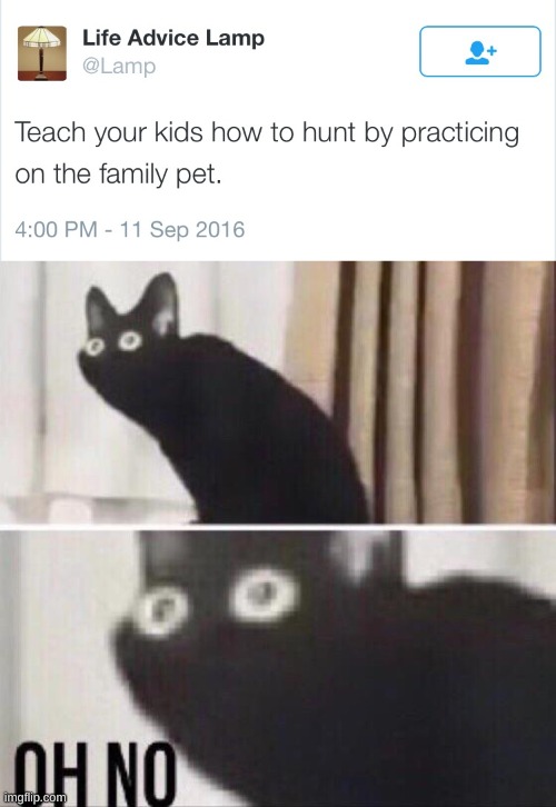 CaT | image tagged in oh no cat | made w/ Imgflip meme maker