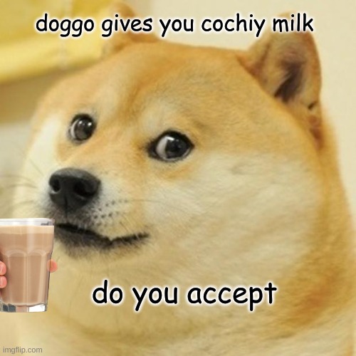 Doge | doggo gives you cochiy milk; do you accept | image tagged in memes,doge | made w/ Imgflip meme maker