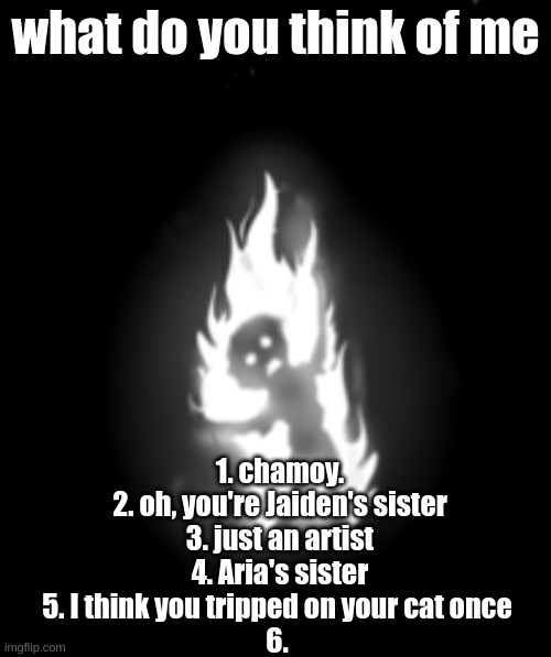 chara burning | what do you think of me; 1. chamoy.
2. oh, you're Jaiden's sister
3. just an artist
4. Aria's sister
5. I think you tripped on your cat once 
6. | image tagged in chara burning | made w/ Imgflip meme maker