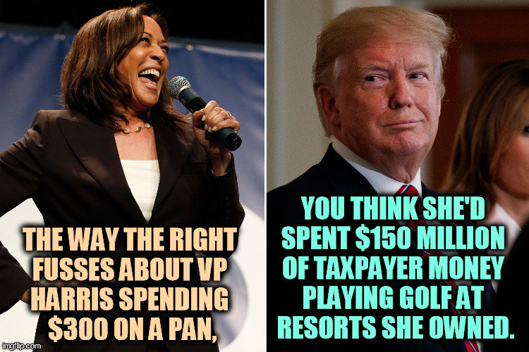 More right wing hypocrisy. | THE WAY THE RIGHT 
FUSSES ABOUT VP 
HARRIS SPENDING 
$300 ON A PAN, YOU THINK SHE'D 
SPENT $150 MILLION 
OF TAXPAYER MONEY 
PLAYING GOLF AT 
RESORTS SHE OWNED. | image tagged in right wing,conservative hypocrisy,kamala harris,donald trump,crook | made w/ Imgflip meme maker