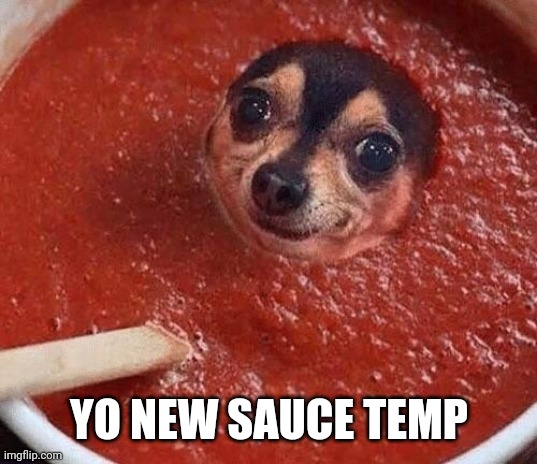 Lost in the Sauce | YO NEW SAUCE TEMP | image tagged in lost in the sauce | made w/ Imgflip meme maker