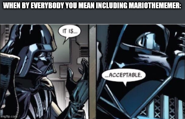 It Is Acceptable | WHEN BY EVERYBODY YOU MEAN INCLUDING MARIOTHEMEMER: | image tagged in it is acceptable | made w/ Imgflip meme maker