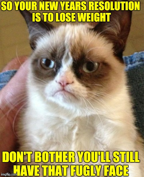 Grumpy Cat Meme | SO YOUR NEW YEARS RESOLUTION IS TO LOSE WEIGHT DON'T BOTHER YOU'LL STILL HAVE THAT FUGLY FACE | image tagged in memes,grumpy cat | made w/ Imgflip meme maker