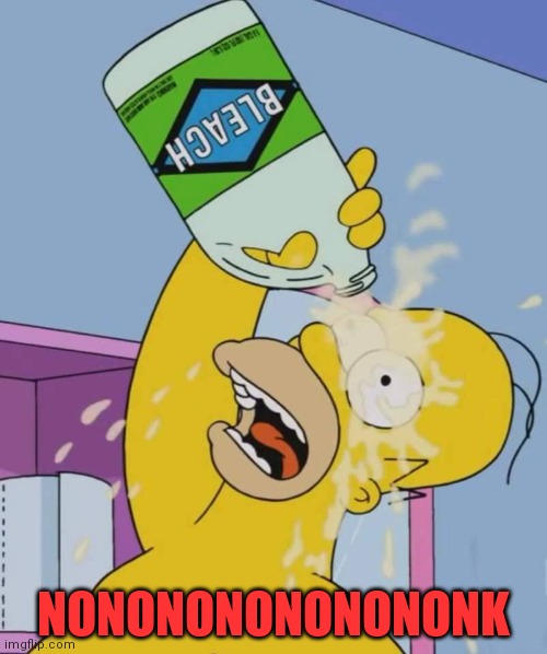 Homer with bleach | NONONONONONONONK | image tagged in homer with bleach | made w/ Imgflip meme maker