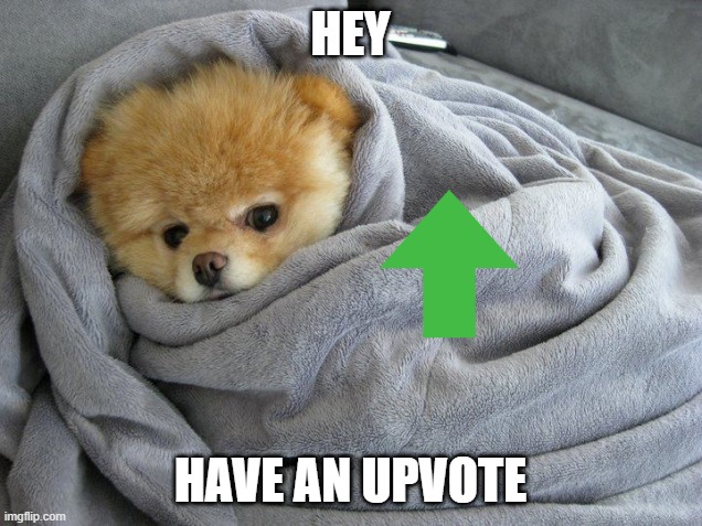 i cant think of anymore titles | HEY; HAVE AN UPVOTE | image tagged in bundled up doggo | made w/ Imgflip meme maker