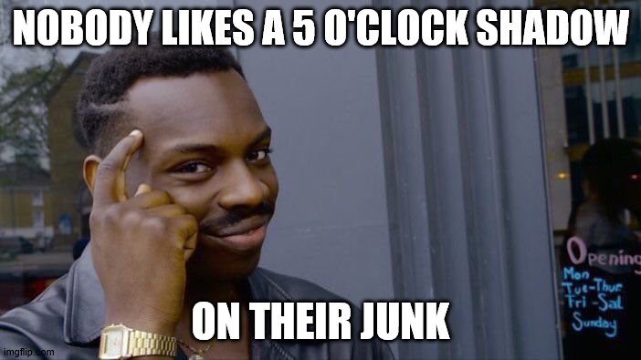 Roll Safe Think About It | NOBODY LIKES A 5 O'CLOCK SHADOW; ON THEIR JUNK | image tagged in memes,roll safe think about it | made w/ Imgflip meme maker