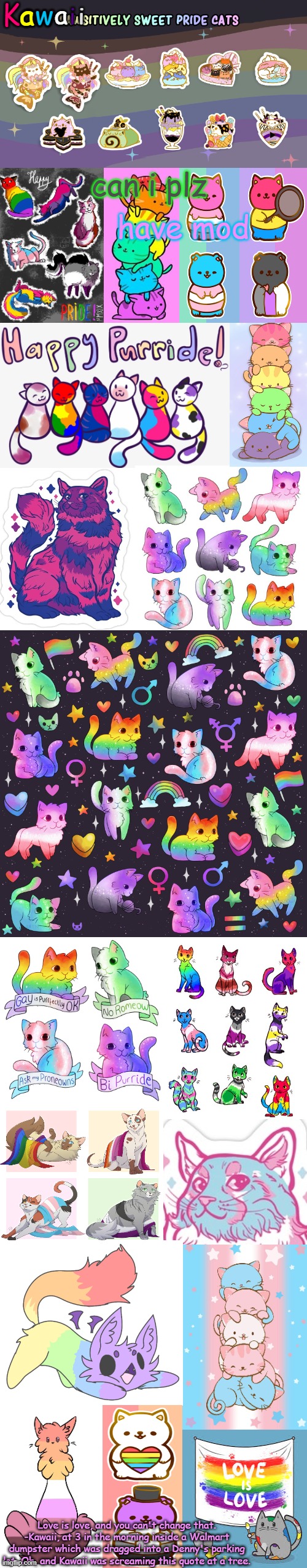 ,sm,snsnjsmm | can i plz; have mod | image tagged in pride cats fur life y o l o | made w/ Imgflip meme maker