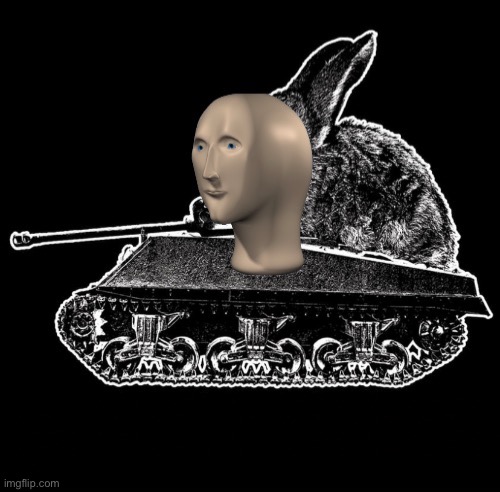 Tonk Rabbit | image tagged in tonk rabbit | made w/ Imgflip meme maker
