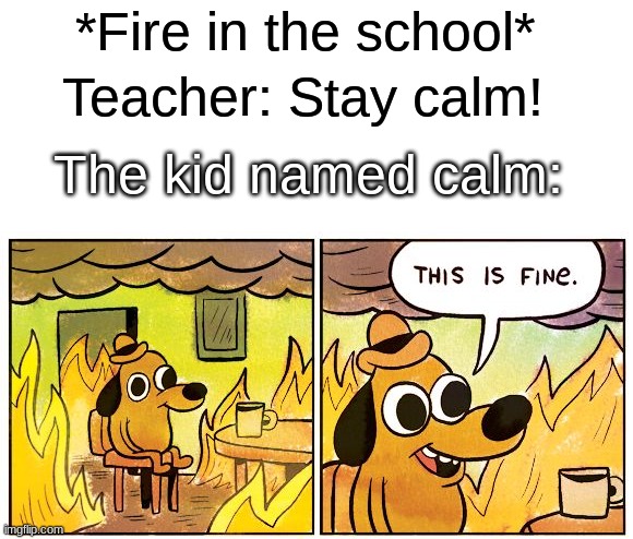 upvote if your name is calm | *Fire in the school*; Teacher: Stay calm! The kid named calm: | image tagged in memes,this is fine | made w/ Imgflip meme maker