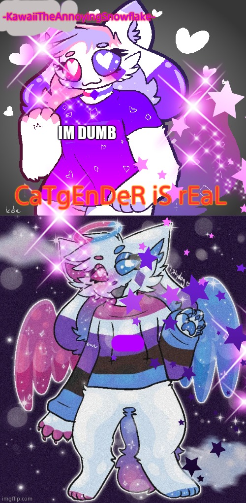 Temp for Kawaii | -KawaiiTheAnnoyingSnowflake-; IM DUMB; CaTgEnDeR iS rEaL | made w/ Imgflip meme maker