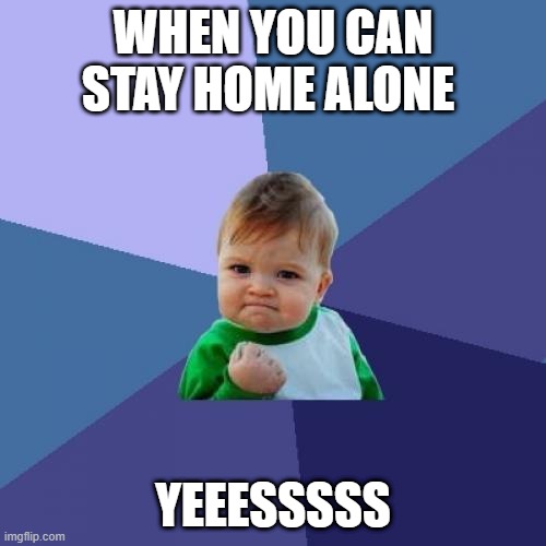 Success Kid | WHEN YOU CAN STAY HOME ALONE; YEEESSSSS | image tagged in memes,success kid | made w/ Imgflip meme maker