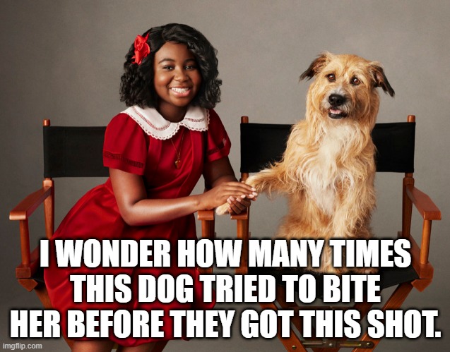 Cultural Appropriation | I WONDER HOW MANY TIMES THIS DOG TRIED TO BITE HER BEFORE THEY GOT THIS SHOT. | image tagged in annie live,black annie,cultural appropriation,memes | made w/ Imgflip meme maker