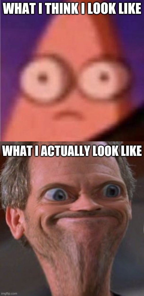 the | WHAT I THINK I LOOK LIKE; WHAT I ACTUALLY LOOK LIKE | made w/ Imgflip meme maker