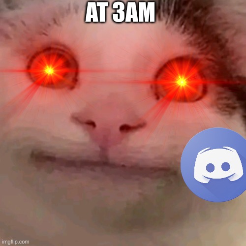 when your watching beluga in 3am | AT 3AM | image tagged in beluga,3am,funny memes,memes,discord | made w/ Imgflip meme maker