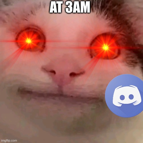 beluga cat discord pfp | Poster