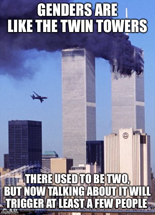 twin tower style | GENDERS ARE LIKE THE TWIN TOWERS; THERE USED TO BE TWO, BUT NOW TALKING ABOUT IT WILL TRIGGER AT LEAST A FEW PEOPLE | image tagged in twin tower style | made w/ Imgflip meme maker