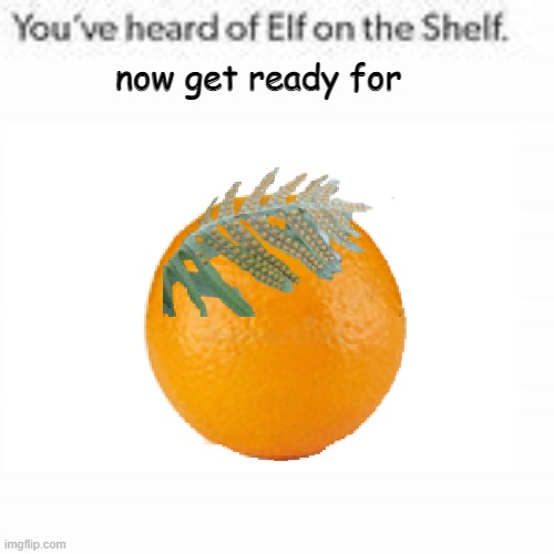 orange has a rhyming word | now get ready for | image tagged in orange,elf on a shelf,stop reading these tags,i said stop | made w/ Imgflip meme maker