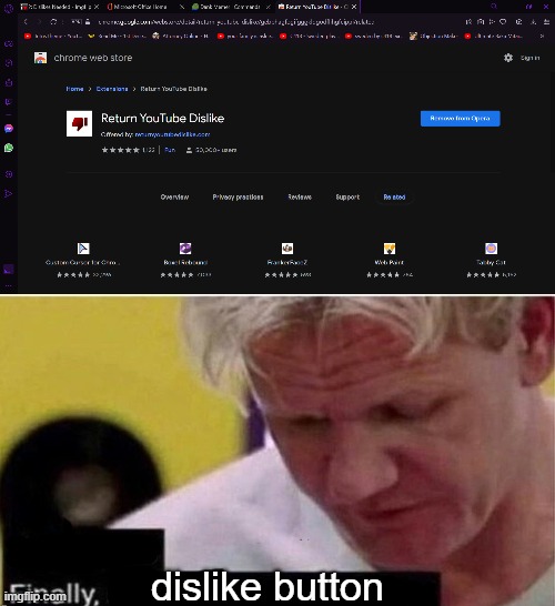 https://chrome.google.com/webstore/detail/return-youtube-dislike/gebbhagfogifgggkldgodflihgfeippi/related | dislike button | image tagged in gordon ramsay finally some good censored ed,memes | made w/ Imgflip meme maker