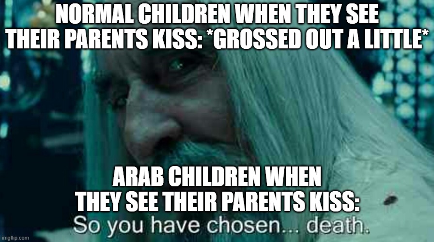 idk about normal children because im middle eastern and i see kids grossed out when they see their parents kiss so pls dont judg | NORMAL CHILDREN WHEN THEY SEE THEIR PARENTS KISS: *GROSSED OUT A LITTLE*; ARAB CHILDREN WHEN THEY SEE THEIR PARENTS KISS: | image tagged in so you have chosen death | made w/ Imgflip meme maker