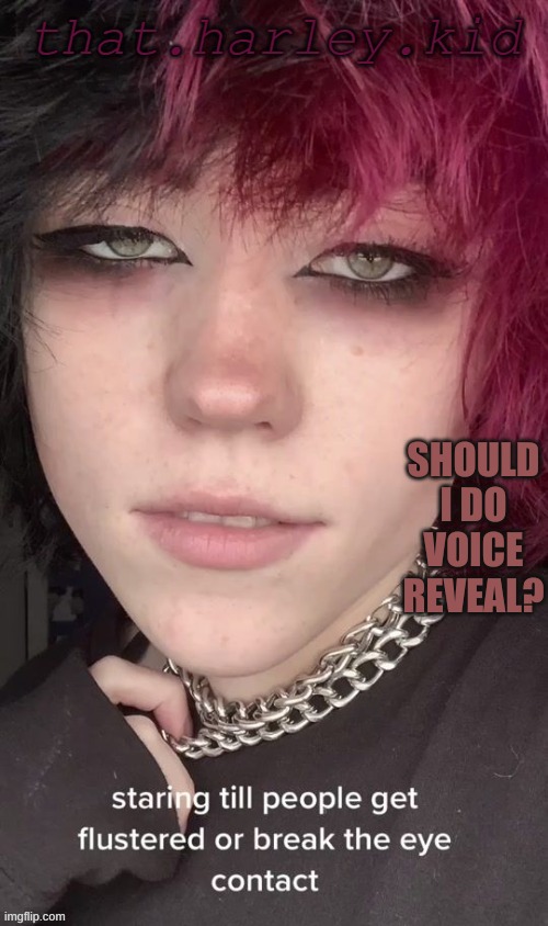 harley temp | SHOULD I DO VOICE REVEAL? | image tagged in harley temp | made w/ Imgflip meme maker