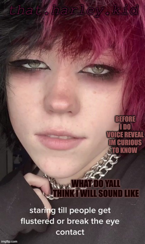 harley temp | BEFORE I DO VOICE REVEAL IM CURIOUS TO KNOW; WHAT DO YALL THINK I WILL SOUND LIKE | image tagged in harley temp | made w/ Imgflip meme maker