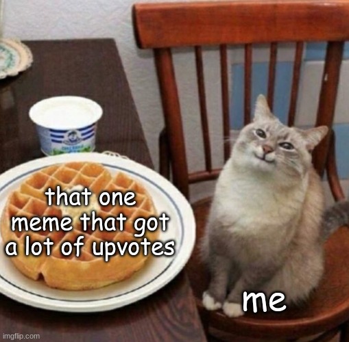 Cat likes their waffle | that one meme that got a lot of upvotes; me | image tagged in cat likes their waffle | made w/ Imgflip meme maker