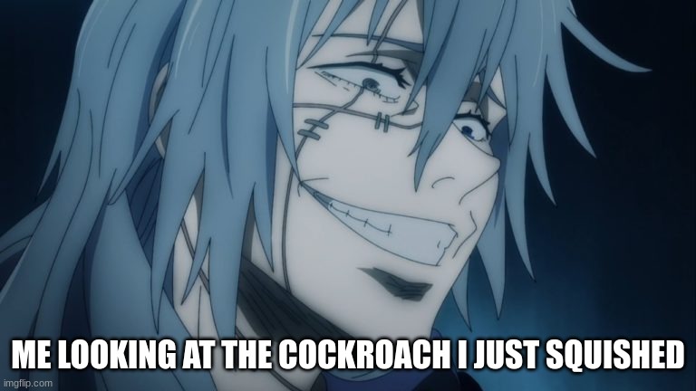 ME LOOKING AT THE COCKROACH I JUST SQUISHED | image tagged in funny memes,anime,insane | made w/ Imgflip meme maker