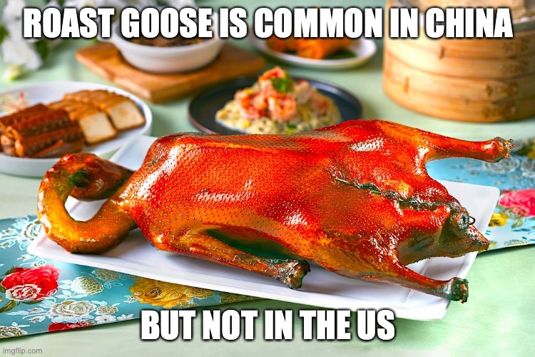 Cantonese Roast Goose | ROAST GOOSE IS COMMON IN CHINA; BUT NOT IN THE US | image tagged in food,memes | made w/ Imgflip meme maker