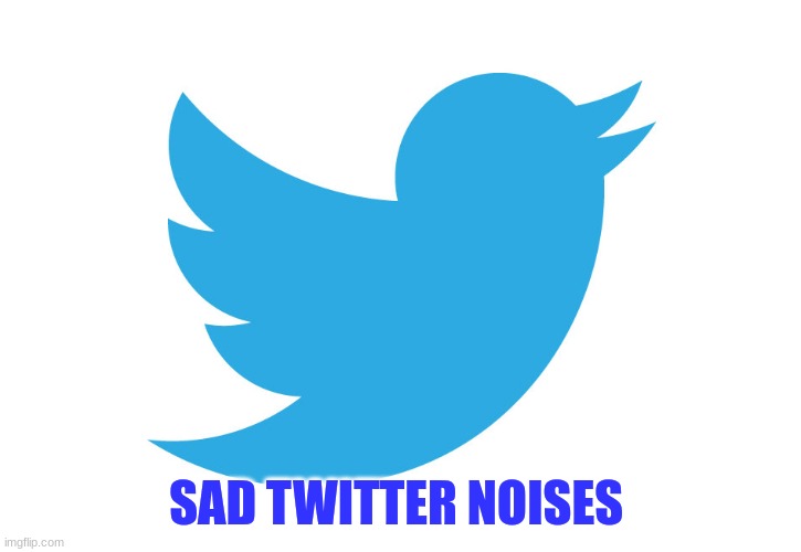 Twitter | SAD TWITTER NOISES | image tagged in twitter | made w/ Imgflip meme maker