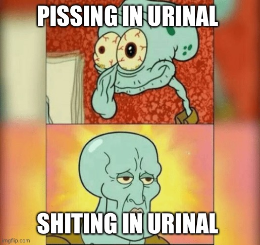 Ugly and Handsome Squidward | PISSING IN URINAL; SHITING IN URINAL | image tagged in ugly and handsome squidward | made w/ Imgflip meme maker