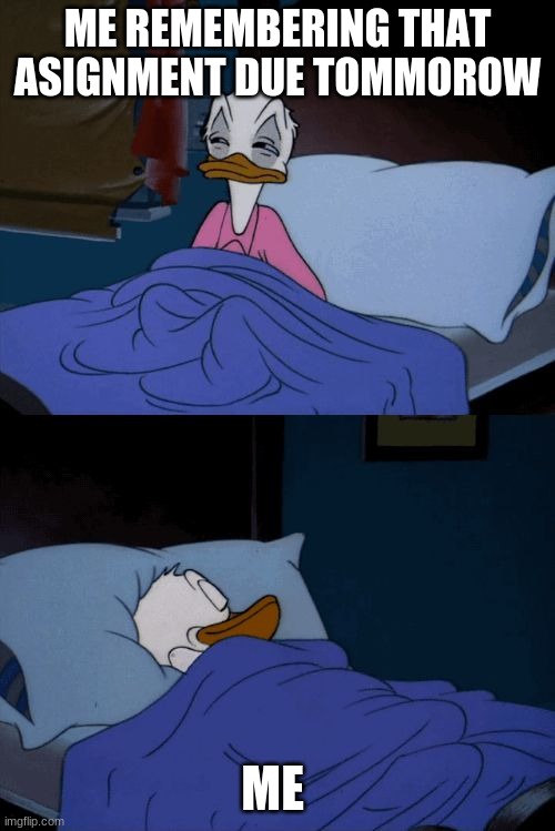 Sleeping Donald Duck | ME REMEMBERING THAT ASIGNMENT DUE TOMMOROW; ME | image tagged in sleeping donald duck | made w/ Imgflip meme maker