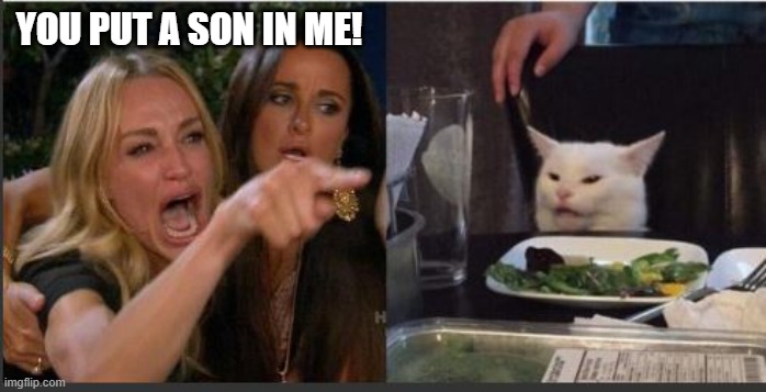 woman yelling at cat without white top | YOU PUT A SON IN ME! | image tagged in woman yelling at cat without white top | made w/ Imgflip meme maker