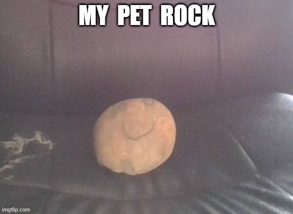  MY  PET  ROCK | image tagged in pet rock | made w/ Imgflip meme maker