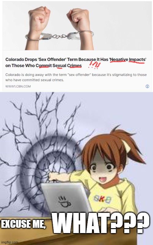 What in the everloving HECK, Colorado???!!! | WHAT??? EXCUSE ME, | image tagged in anime wall punch,newspeak,ministry of truth,woke,are they high,well it is colorado | made w/ Imgflip meme maker
