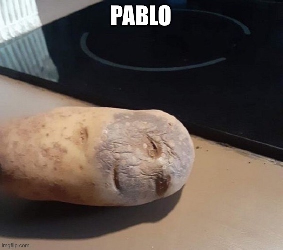 Todd | PABLO | image tagged in todd | made w/ Imgflip meme maker