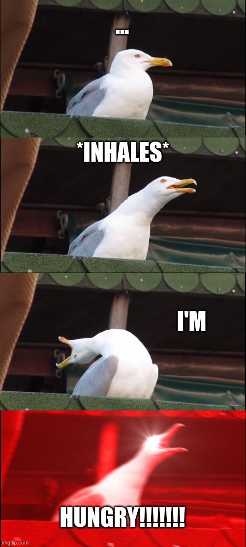 hungry | ... *INHALES*; I'M; HUNGRY!!!!!!! | image tagged in memes,inhaling seagull | made w/ Imgflip meme maker