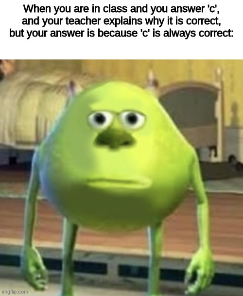 PAIN. | When you are in class and you answer 'c', and your teacher explains why it is correct, but your answer is because 'c' is always correct: | image tagged in sully wazowski | made w/ Imgflip meme maker