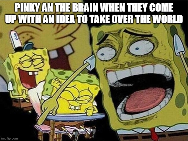 Spongebob laughing Hysterically | PINKY AN THE BRAIN WHEN THEY COME UP WITH AN IDEA TO TAKE OVER THE WORLD | image tagged in spongebob laughing hysterically | made w/ Imgflip meme maker