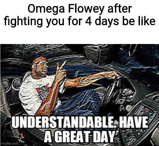 Fun fact: He actually stops attacking because of the code |  Omega Flowey after fighting you for 4 days be like | image tagged in understandable have a great day,undertale,flowey,omega flowey | made w/ Imgflip meme maker