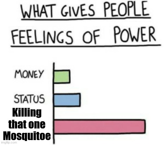 What Gives People Feelings of Power | Killing that one Mosquitoe | image tagged in what gives people feelings of power | made w/ Imgflip meme maker